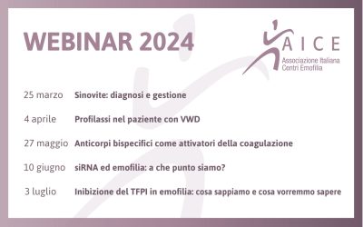 AICE Webinar 2024