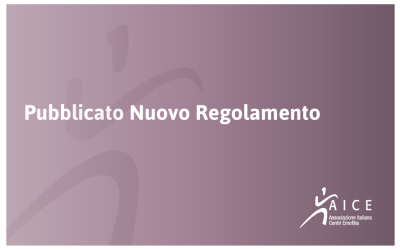 Regolamento di attuazione dello Statuto AICE