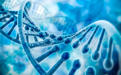 Polimorfismi funzionali del recettore per le LDL e farmacocinetiche dei concentrati di FVIII