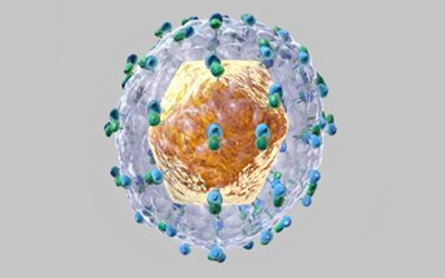 Emofilia ed epatite C