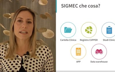 Le funzionalità  di SIGMEC