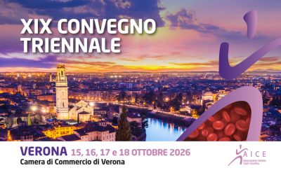 XIX Convegno Triennale Verona
